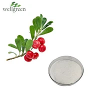 Prášok kyseliny ursolovej