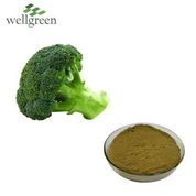 Brokolicový extrakt