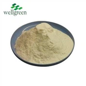 Baicaleinový prášok