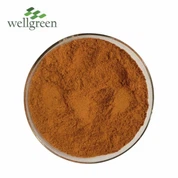 Prášok s extraktom z aloe vera