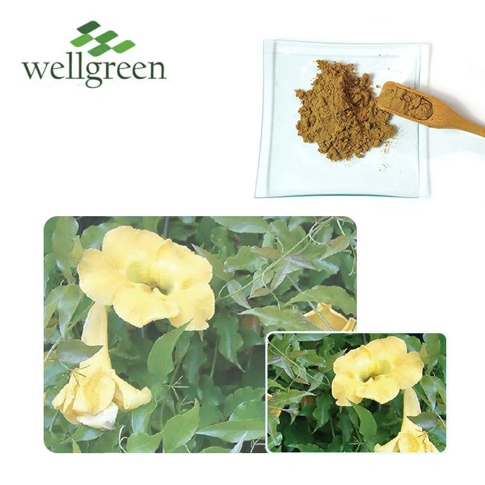 Extrakt z Diablovho pazúra