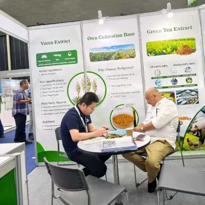 Wellgreen Booth Talk Wellgreen Booth Talk