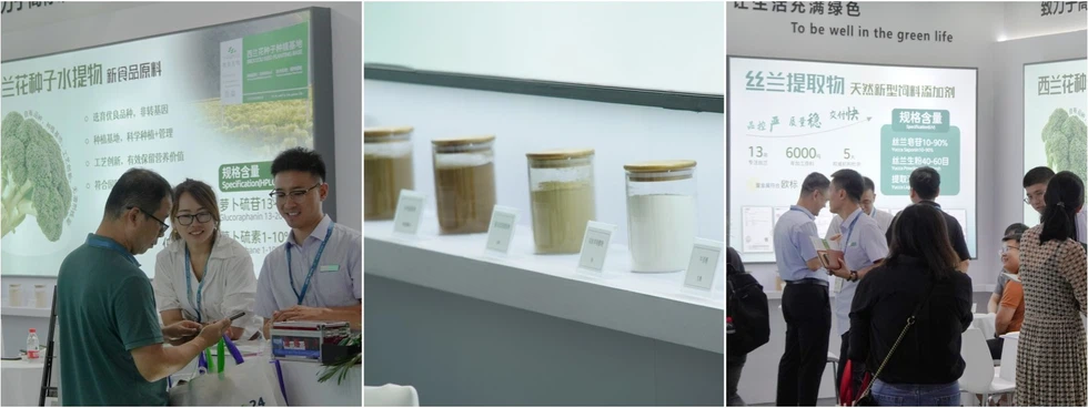 wellgreen exhibition wellgreen exhibition