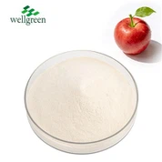 Hromadný jablkový muštový ocot v prášku